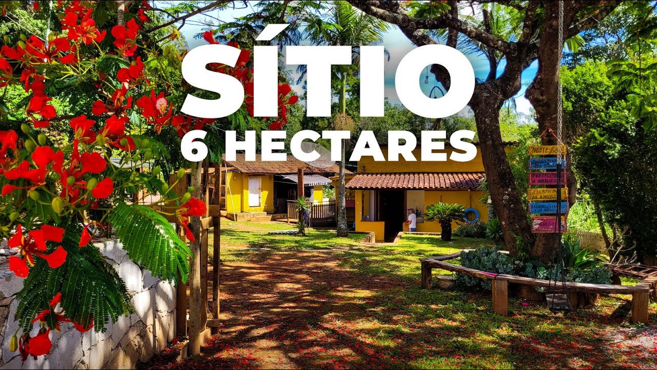 SÍTIO 6 HECTARES, COMPLETO E COM FÁCIL ACESSO | R$ 750 MIL