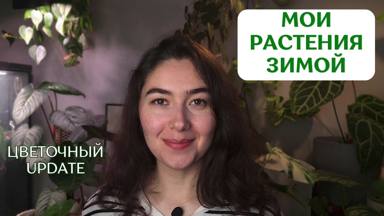 РАСТУТ ли мои цветы ОСЕНЬЮ и ЗИМОЙ? | новые ЛИСТЬЯ и рост РАСТЕНИЙ зимой
