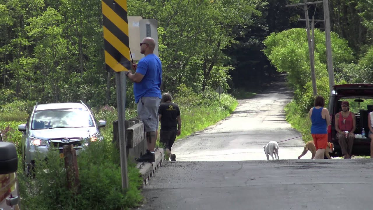 4k Sample Video Footage - Sony FDR-AX33 4K Ultra HD Camcorder