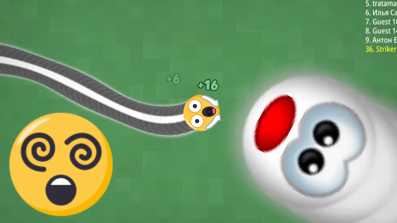 Killed Biggest Snakes - WormsZone.io High Score - Top Kills Best Moves 2022 | The Striker WhizZ