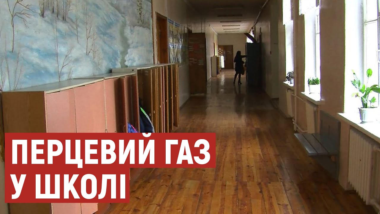 15 дітей отруїлися перцевим газом в школі у Маневичах