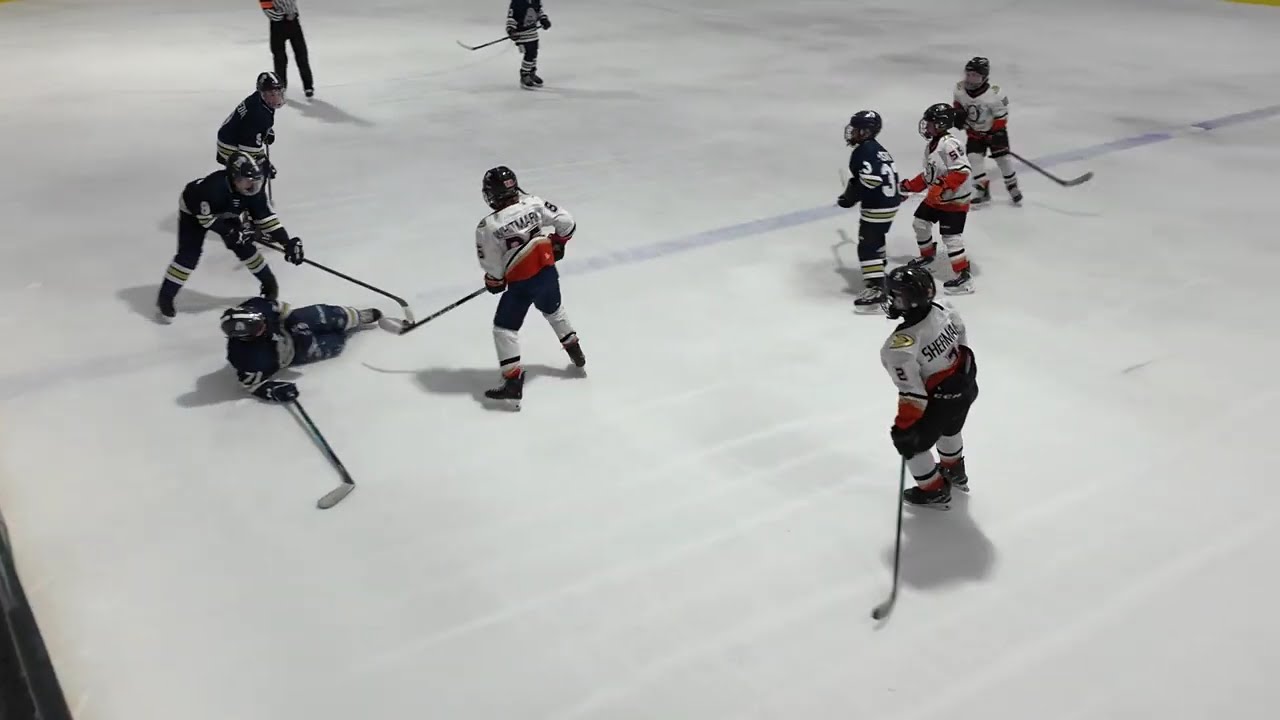 2026.03.07.Ice Dogs 12UA vs Jr Ducks-2 3rd Period