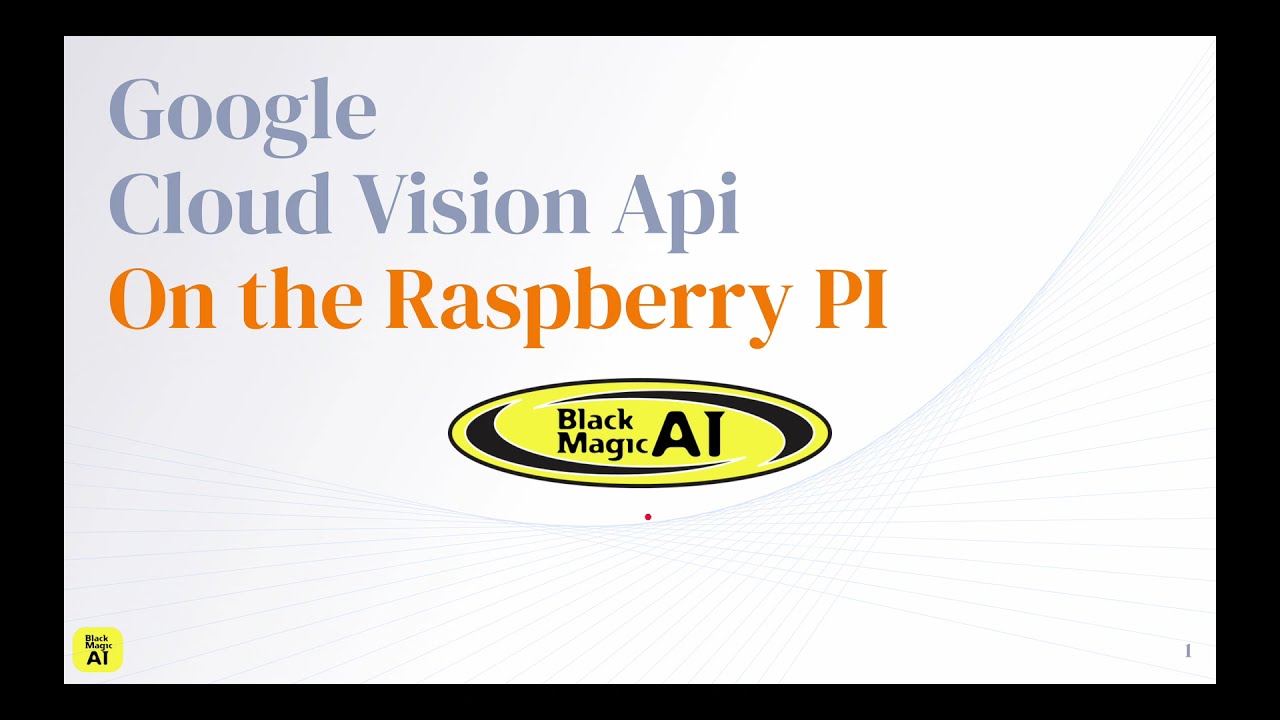 Cloud Vision Api on the Raspberry Pi with GoPro Camera
