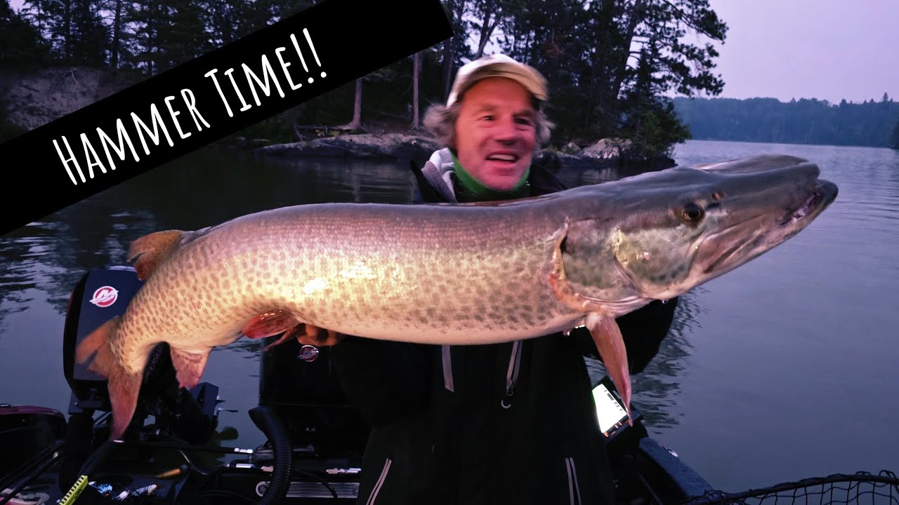 North of the Border (Musky Fishing)