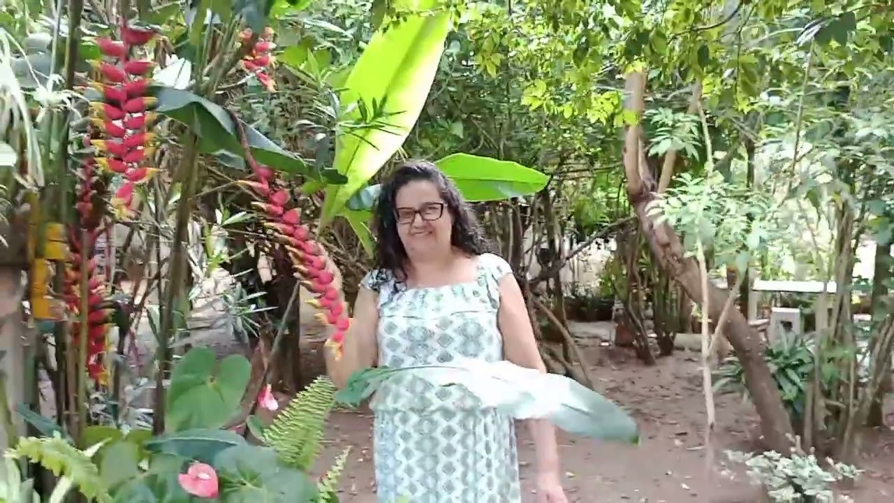 Chácara de uma costureira 🥰 dia de colher frutas 