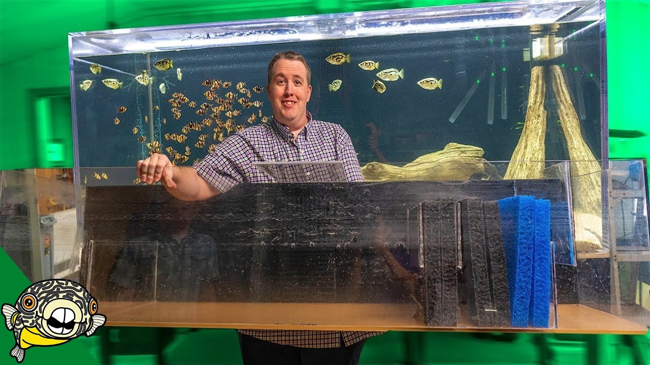 DIY Aquarium Sump Filter
