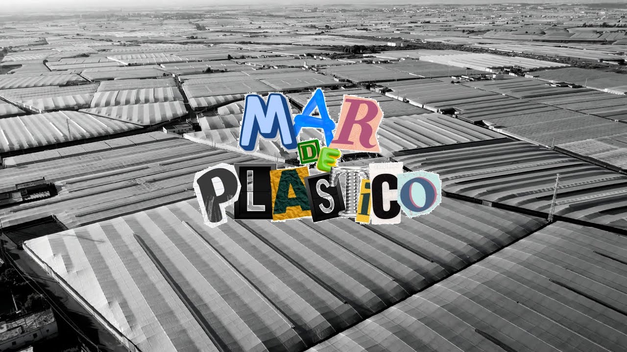 COPPER ft. ROLO - MAR DE PLÁSTICO