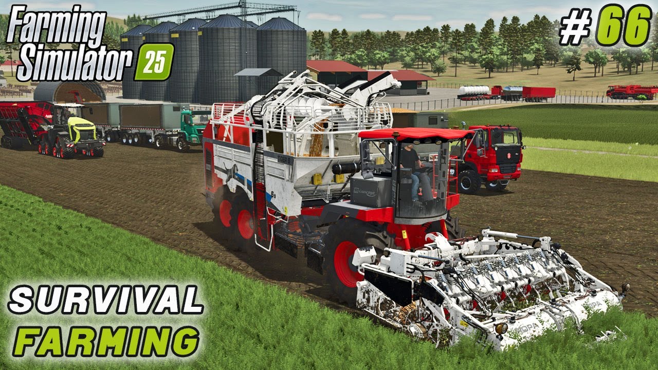 Carrot Harvest Powers Up Our Canned Food Business | Survival Farming | Farming Simulator 25 | ep #66
