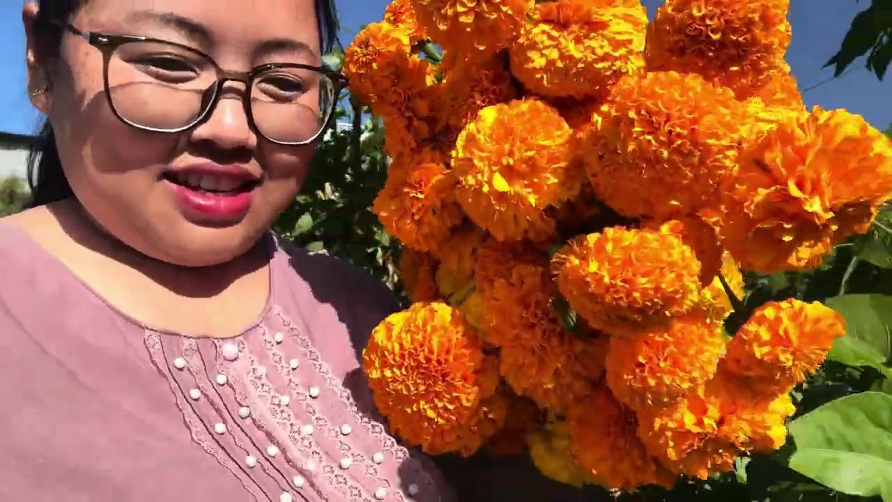 Tihar vlog part-1 