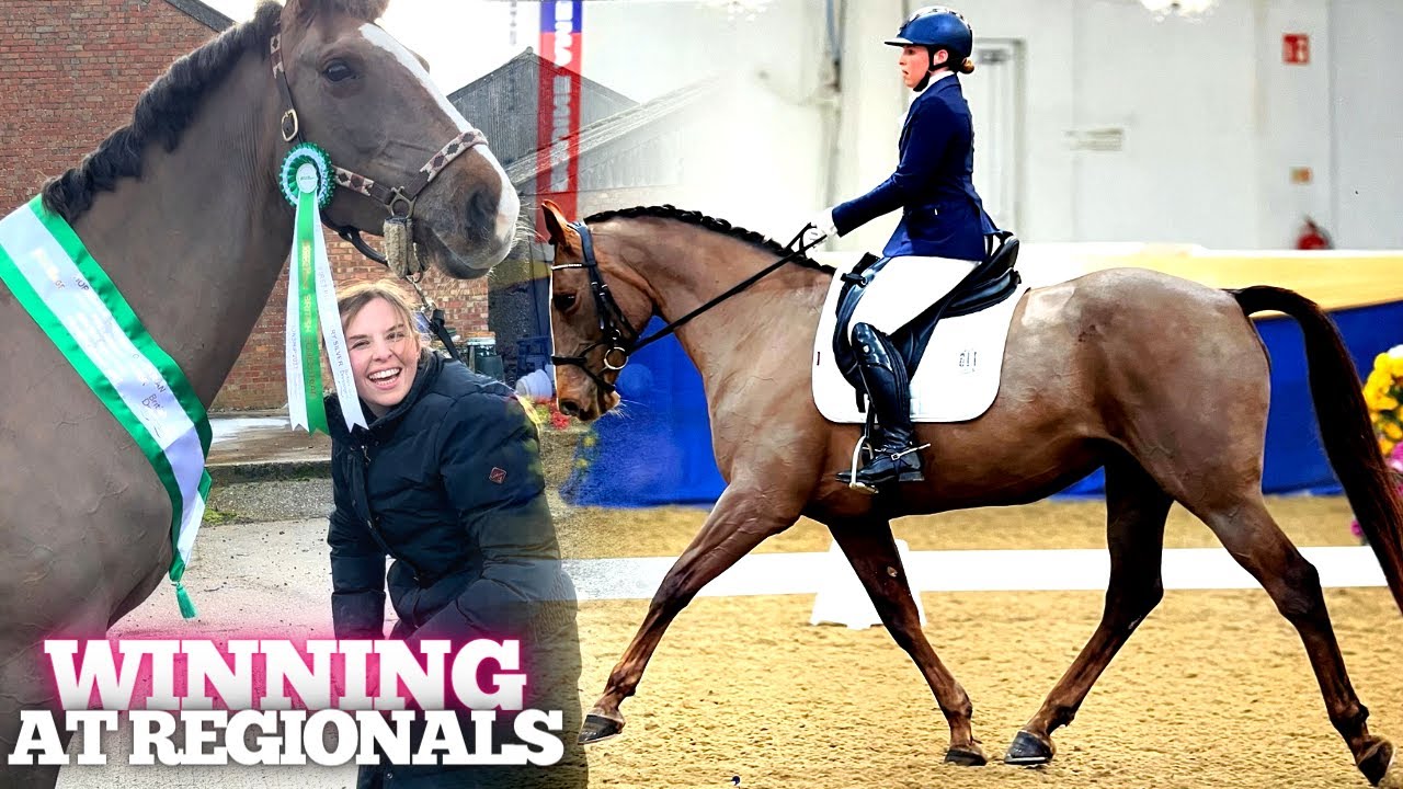 WINNING at BD Regionals! - British Dressage Vlog - Arena UK - Nationals here we come - Prelim Silver