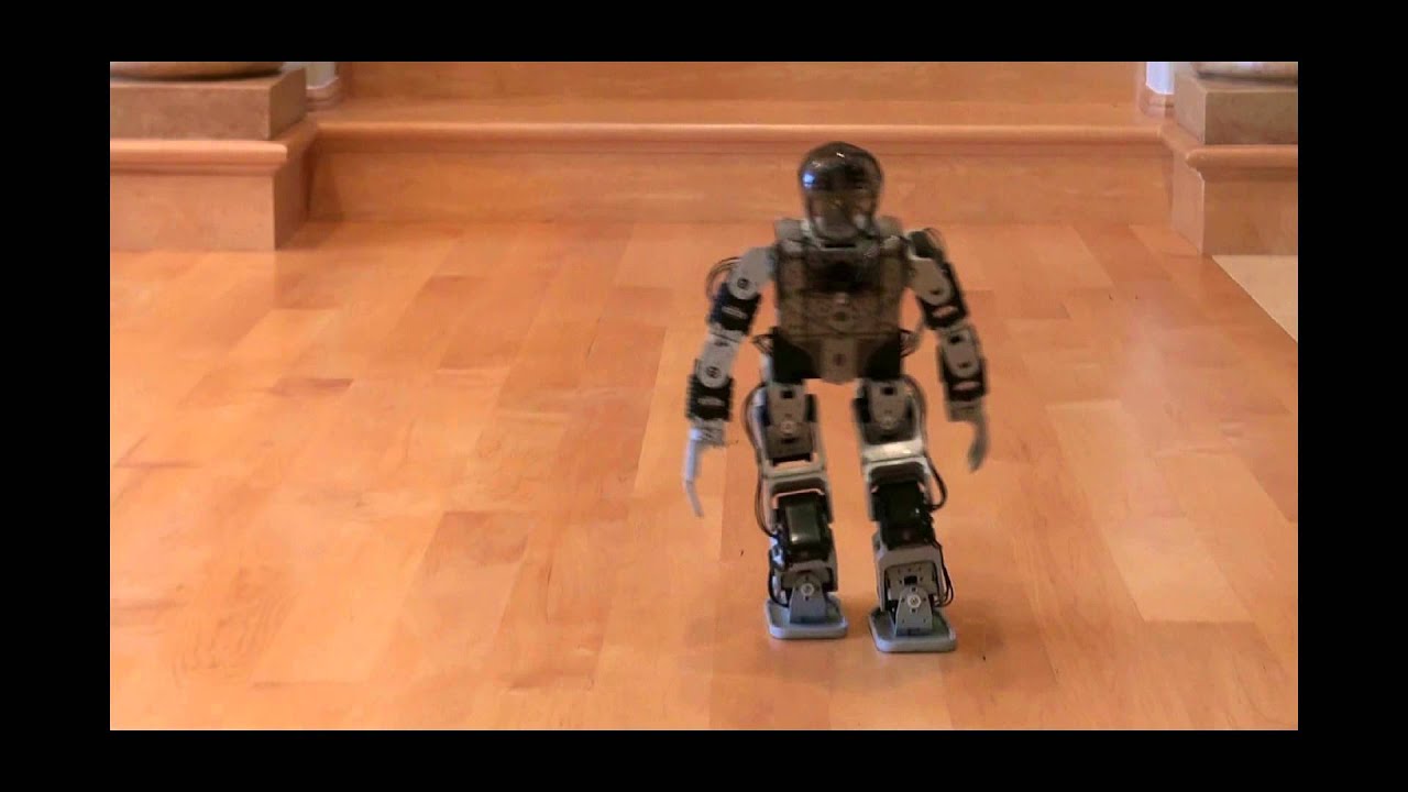 Bioloid Premium Robot
