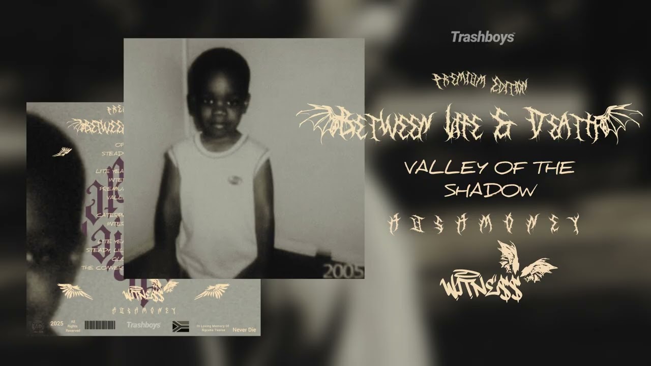 WiTNE$$ - Valley Of The Shadow