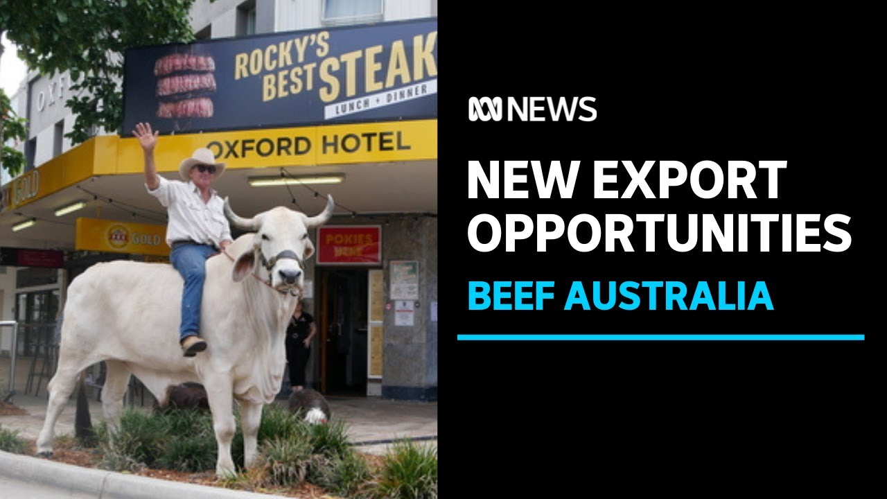 Beef Australia 2021: Focus turns to leadership and the future of the industry | ABC News