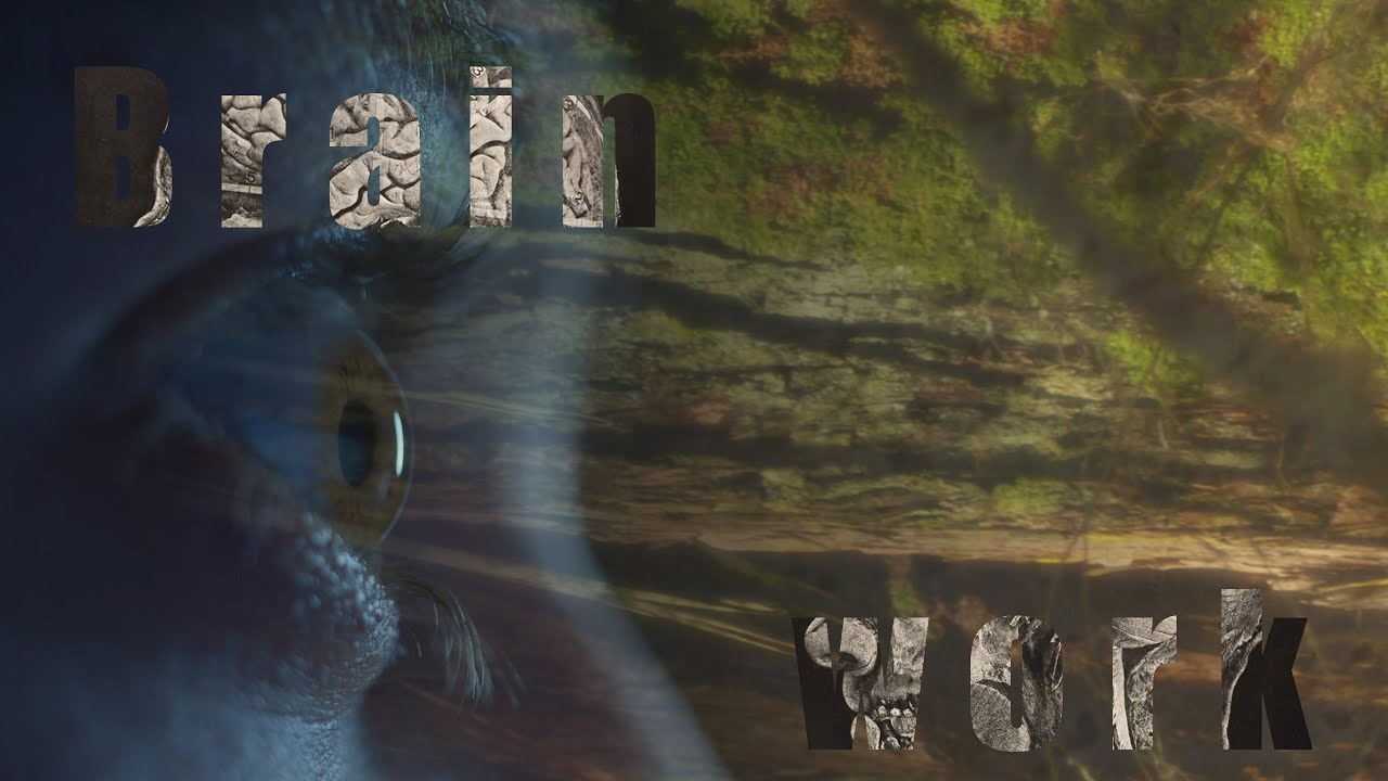 Brainwork | 2025 HSC Multimedia Major Work | SHAPE Nominated