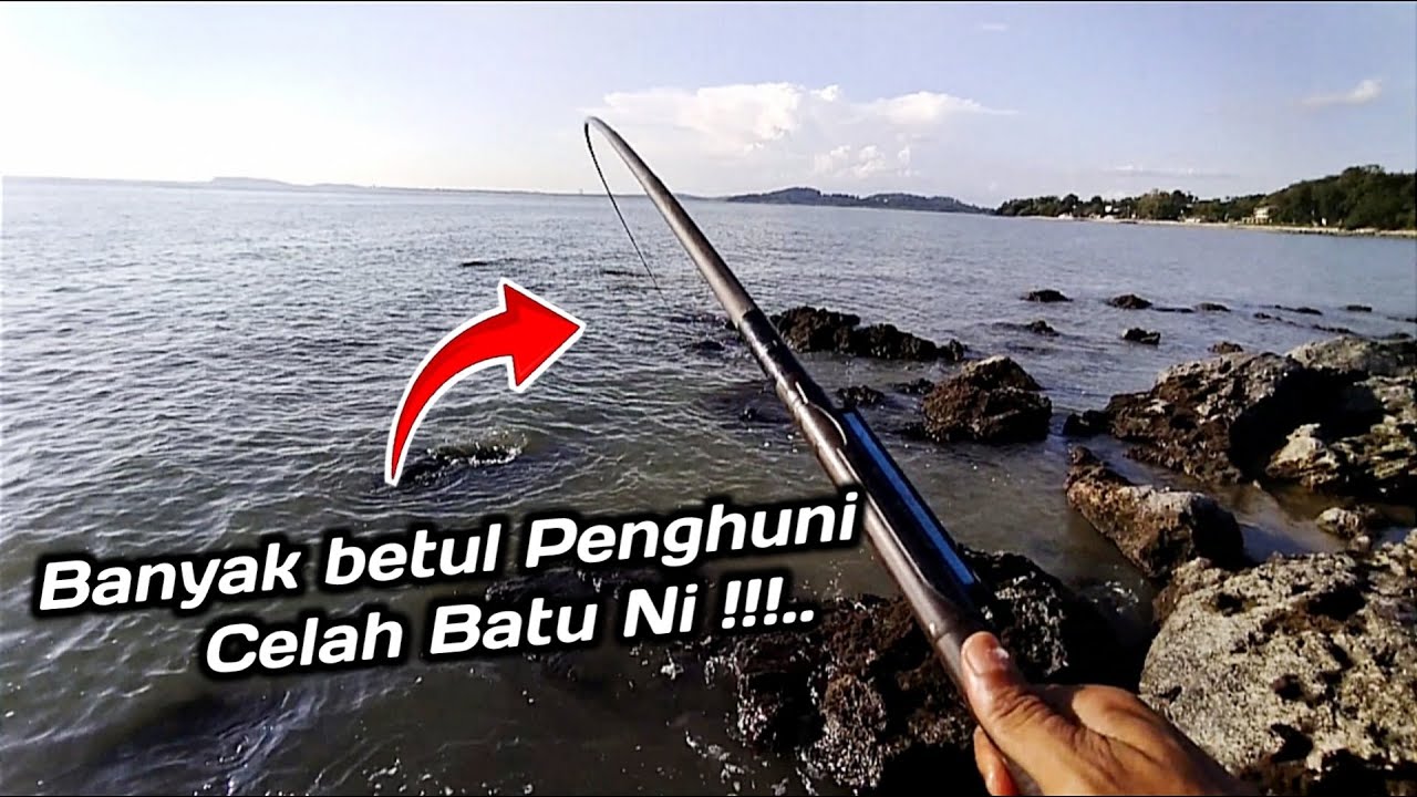Memancing Ikan Kerapu Celah Batu Umpan Udang Kopek - Joran Telescopic