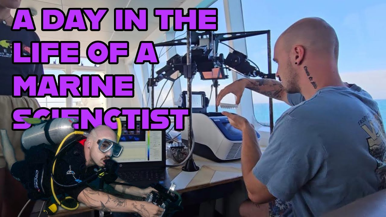 A Day In the Life of a Marine Scientist
