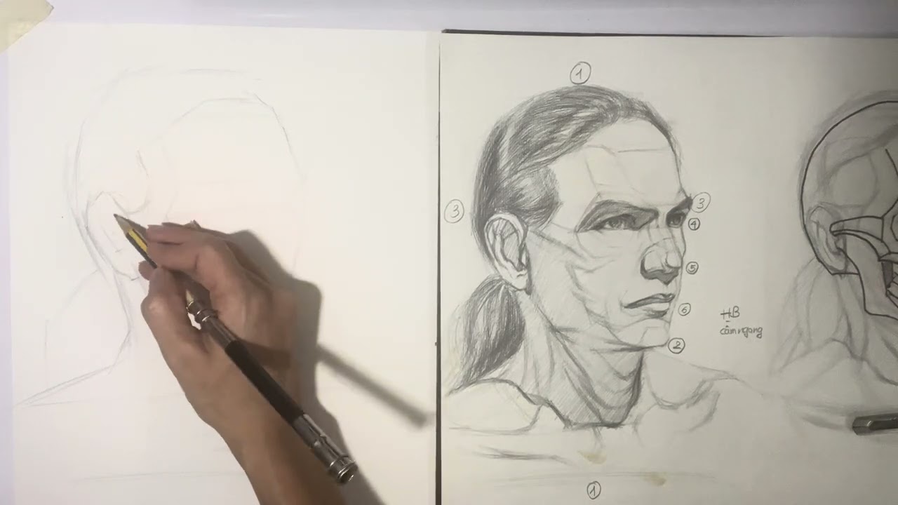 Dựng mẫu chân dung trung niên - phần 1
