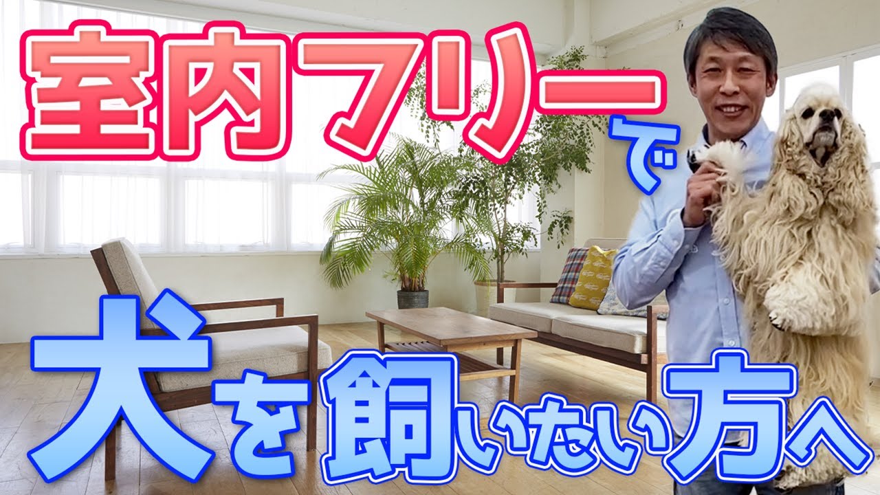 【犬 しつけ】愛犬を室内フリーで飼うためには？