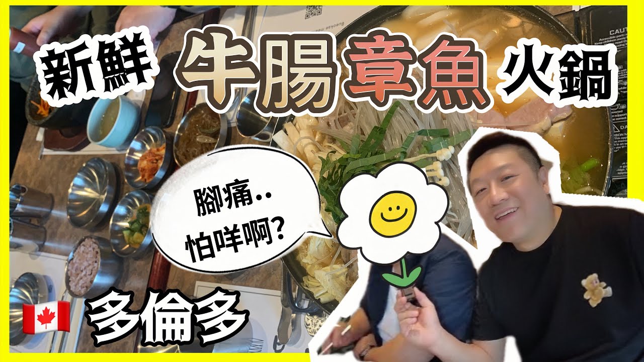 #多倫多 新鮮牛腸章魚火鍋 ！ 多多San對戰為好友食神S 仔 ！ #Bueokae부엌애 【加拿大多倫多】 【加拿大多倫多】