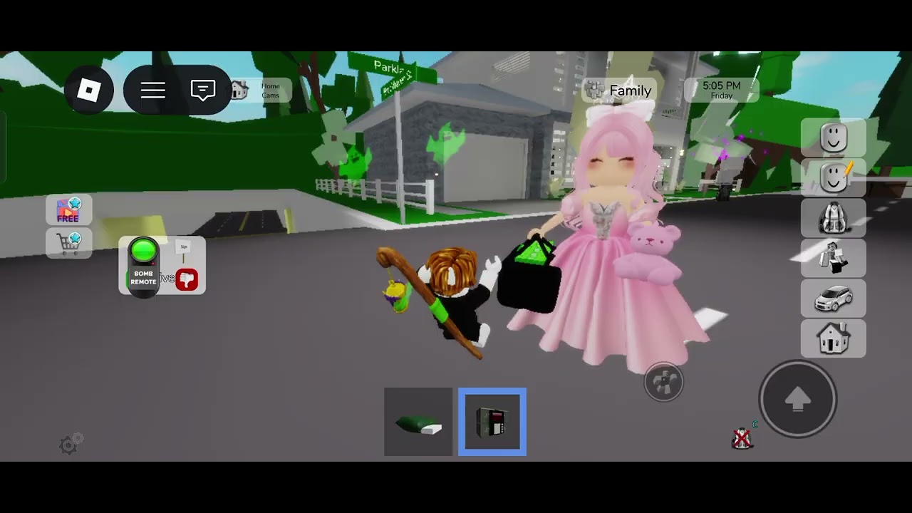 Robbing people in brookhaven