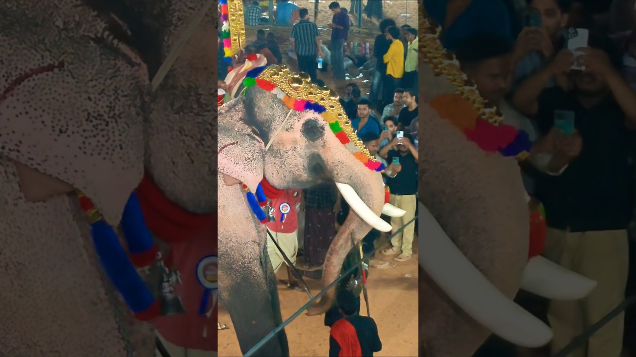Muzhappilangad Sree Kurumba Temple 🥰❤️#shortsvideo #travel #viralvideo #eliphent #viralvideo