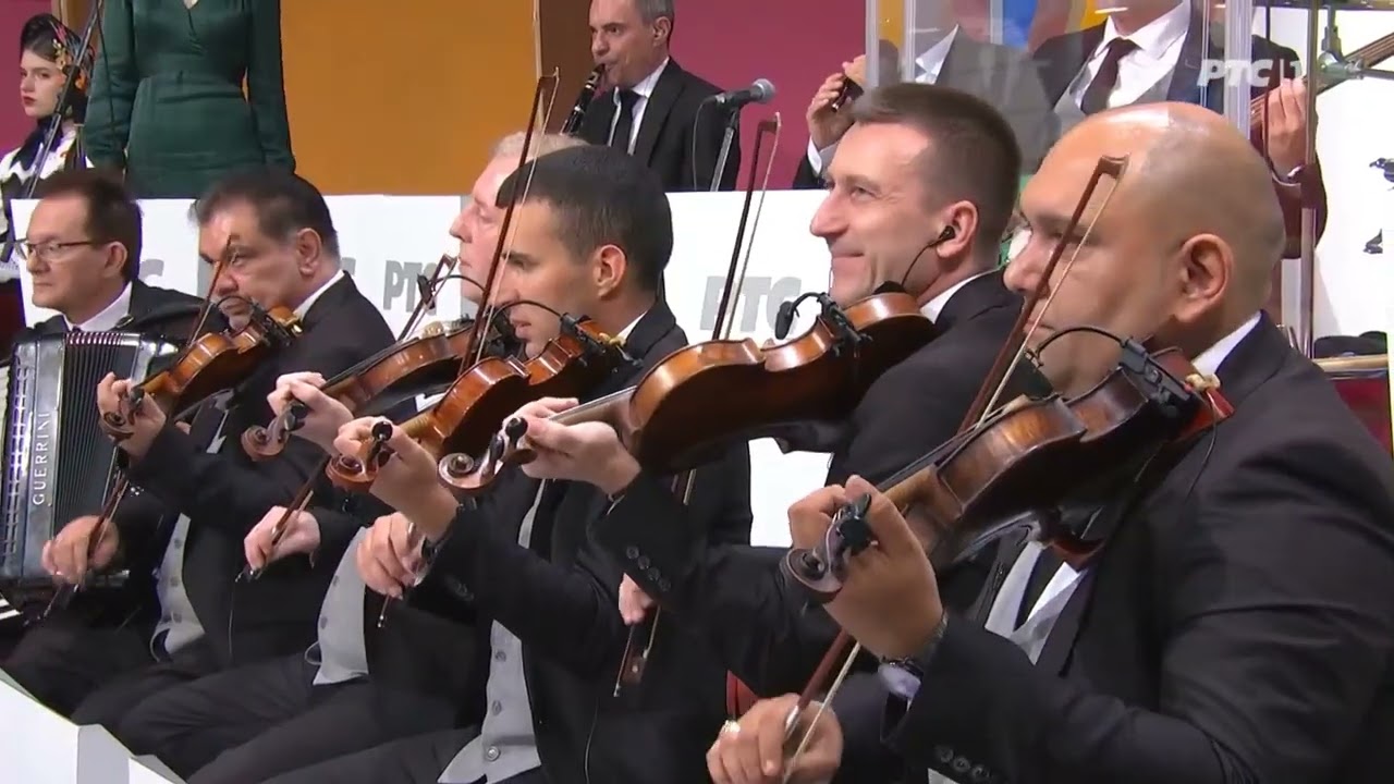 Raša Pavlović -  Svud me diraj, al' u srce nemoj