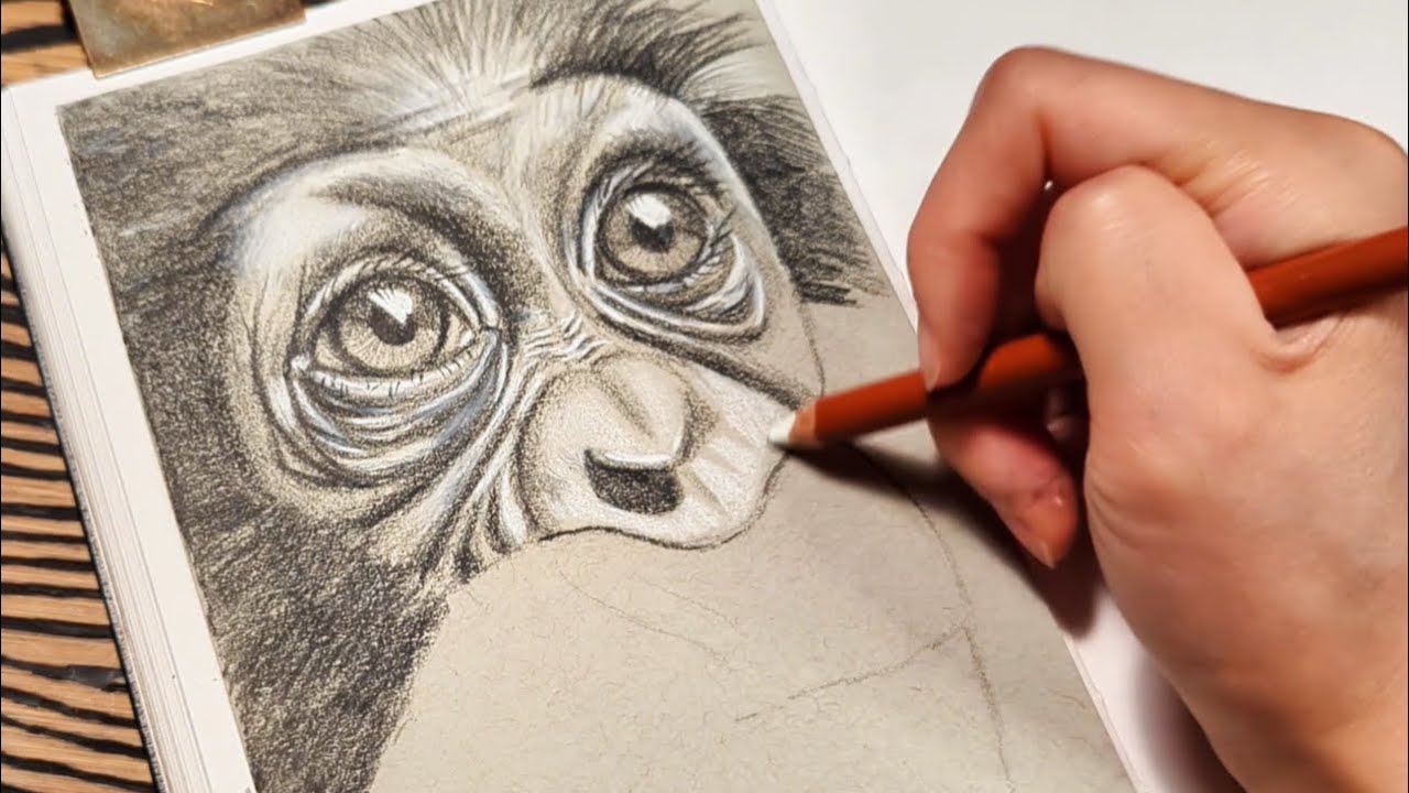 Drawing a Baby Chimpanzee with Pencils ✏️