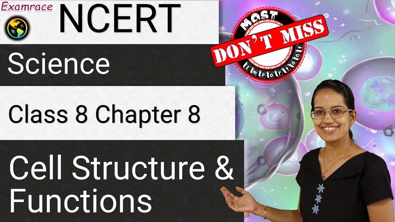 NCERT, 8 класс, Естествознание, Глава 8: Структура и функции клетки | Английский язык | CBSE (NSO...