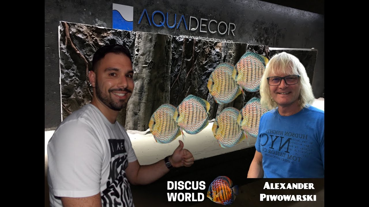What have I done? // Aquadecor // Piwowarski Discus