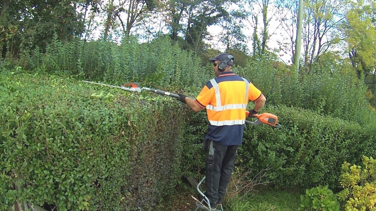 Battery Hedge Trimmer vs Overgrown Hedge