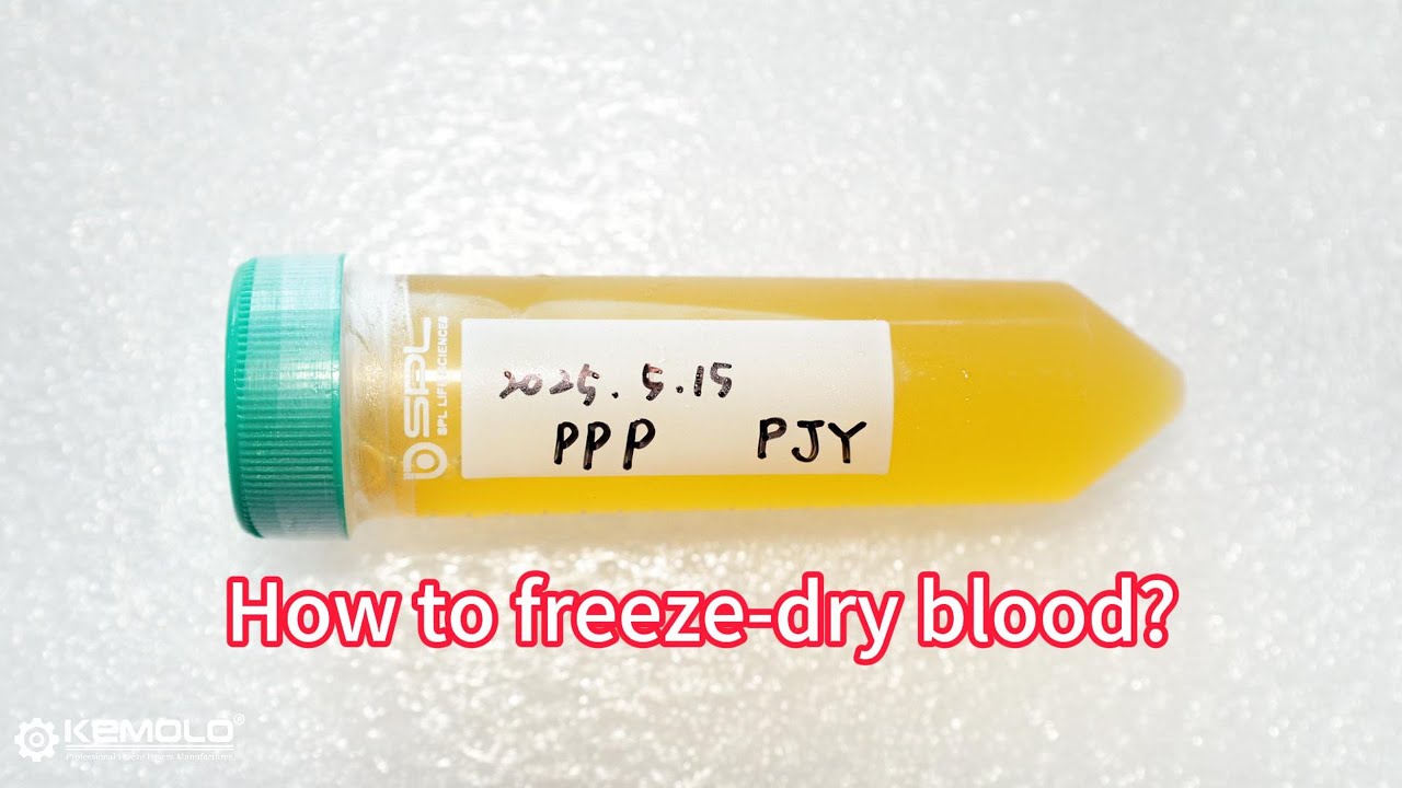 How to freeze dry blood? The secret of blood freeze drying with technology by the lab freeze dryer
