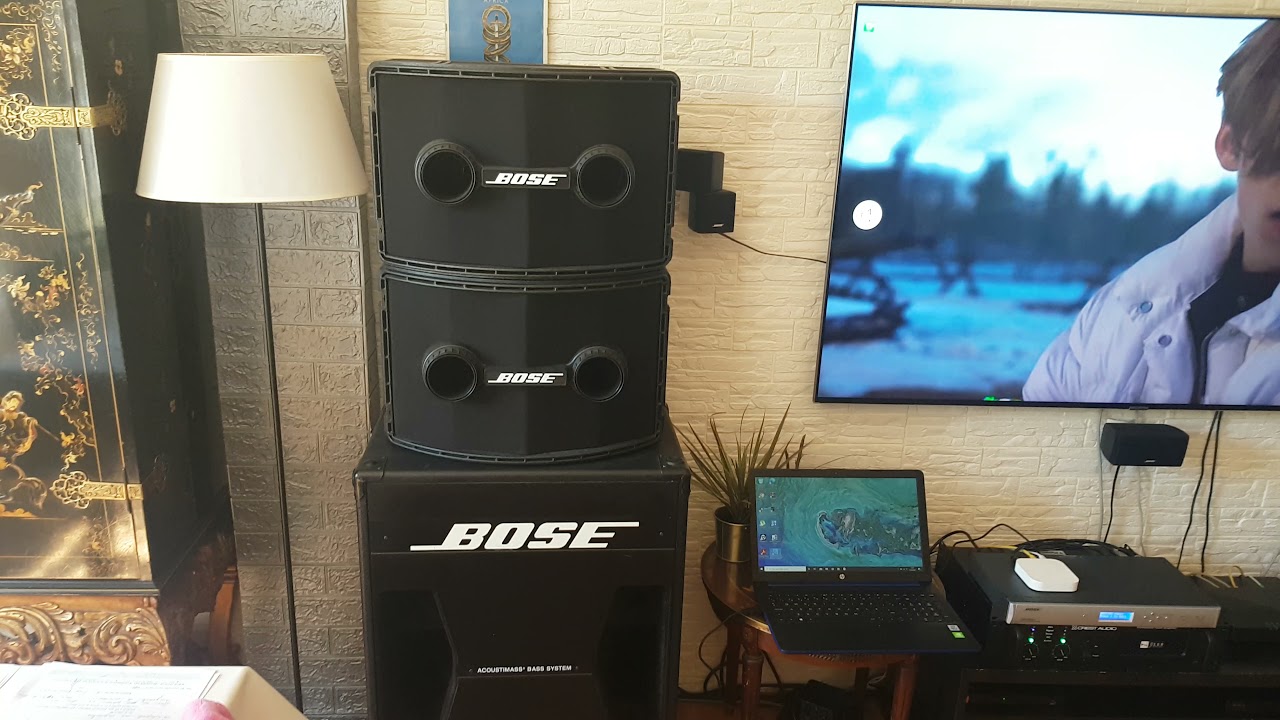 Bose 802II and 302 bass with sp-24 digital processor clone 802c curve