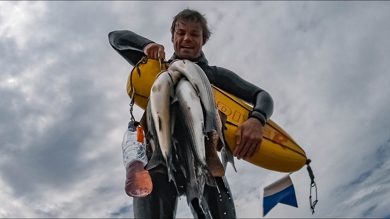 British spearfishing champion - what does it take?