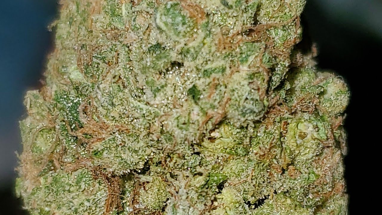 FATSO STRAIN WAKE AND BAKE STYLE