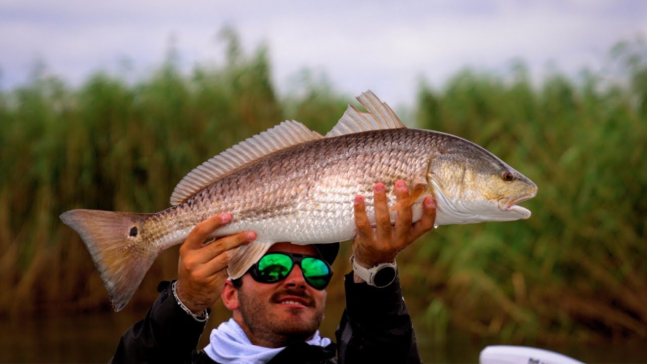 3 DAYS Chasing Redfish in VENICE LOUISIANA