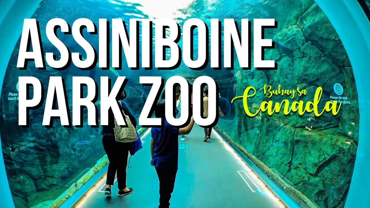 Winnipeg 🇨🇦 | Assiniboine Park Zoo | Buhay sa Canada
