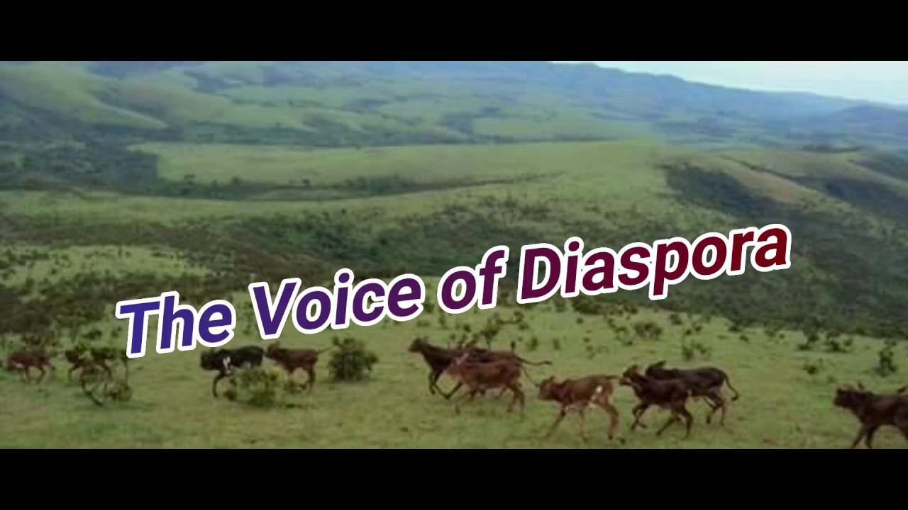 INKOMOKO YABATUTSI BO MURI CONGO-UMURAGE TV