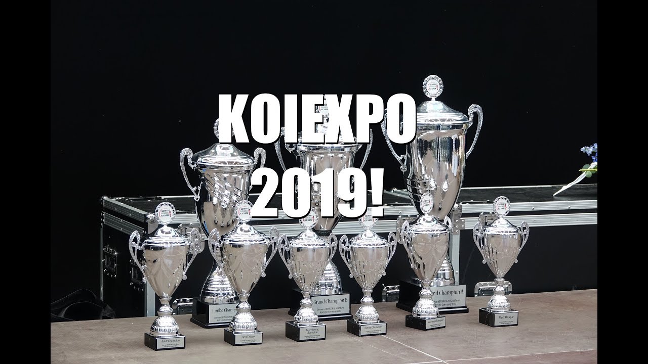 Koiteichblog [123] ★ Koiexpo 2019 in Berlin