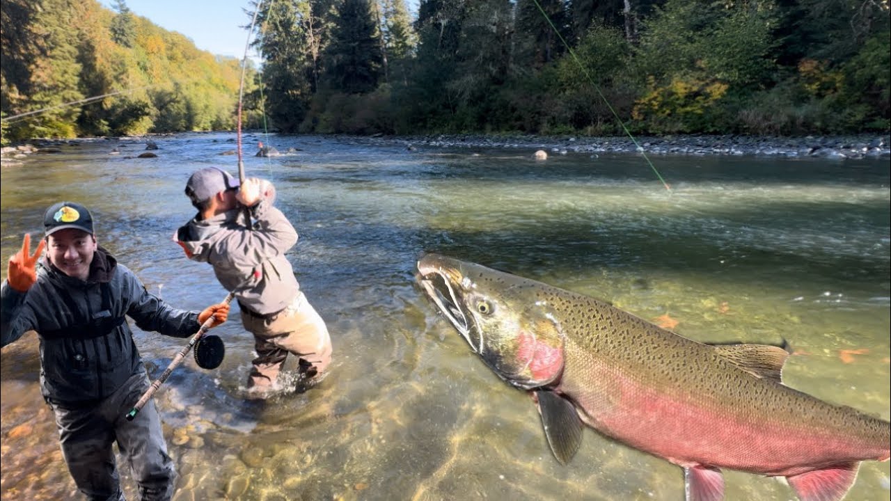 PNW- Bobber Coho Fishing: Centerpin Mastery Unleashed!