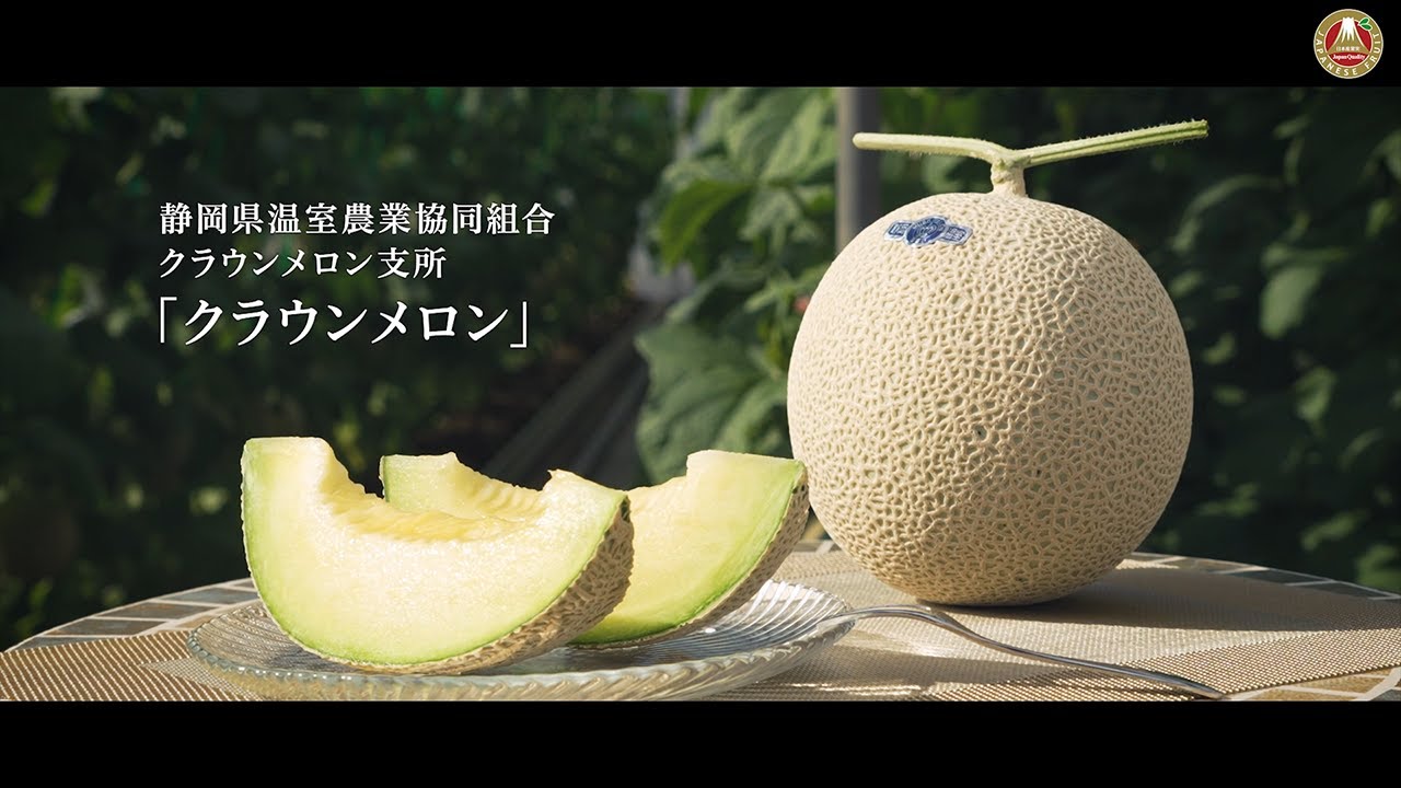 日本のメロンが届くまで From 静岡県温室農業協同組合クラウンメロン支所