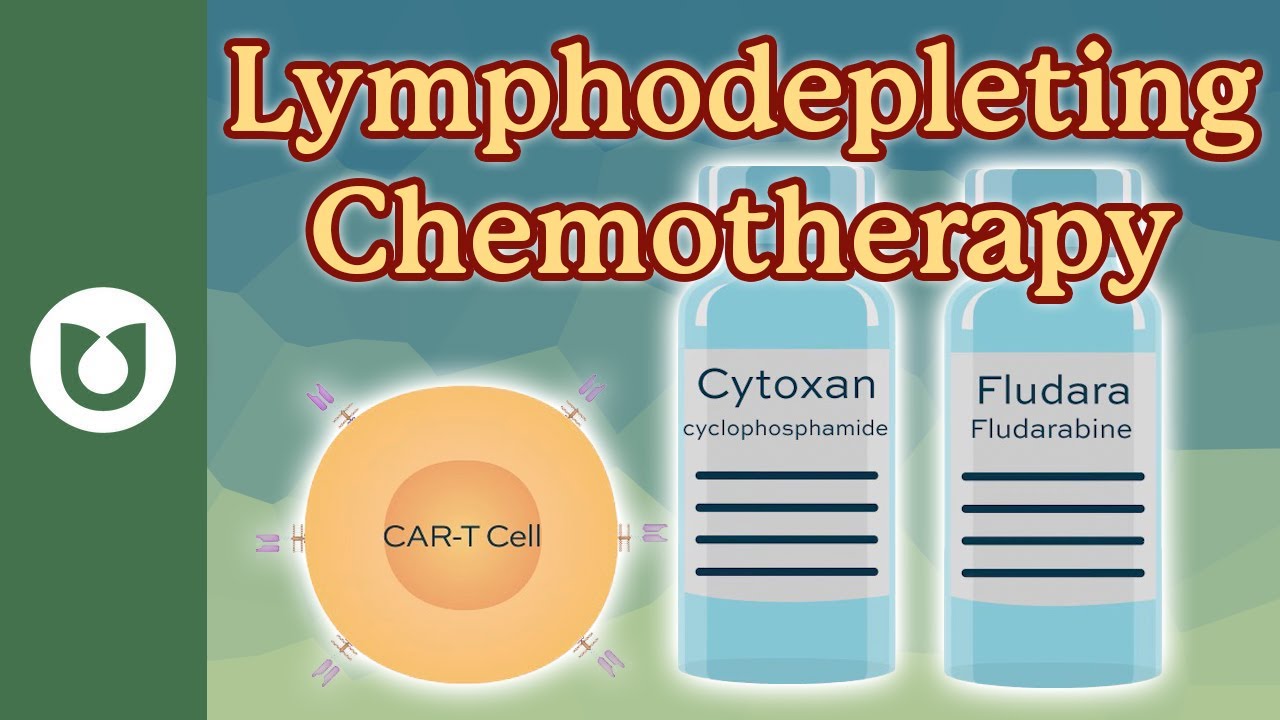 Preparing for CAR-T: What Lymphodepleting Chemotherapy Does