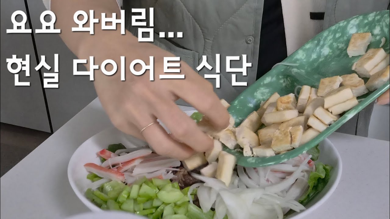 요요 온 백수 주부의 현실 다이어트 식단｜오트밀죽·두부포케·샤브