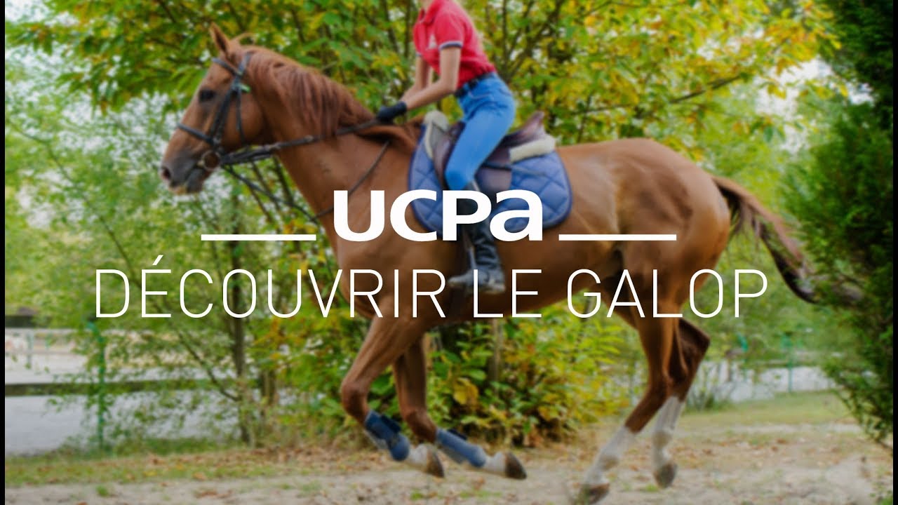 Tutos équitation #6 -  Découvrir le Galop