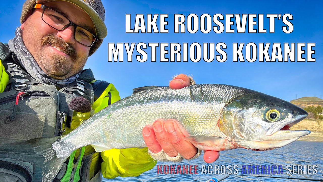 Таинственный Кокани озера Рузвельт (Kokanee Across America - Эп. 1)