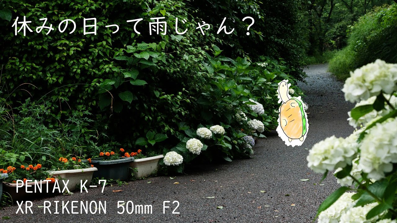【PENTAX K-7】雨の日はなんか防塵防滴ボディを使う