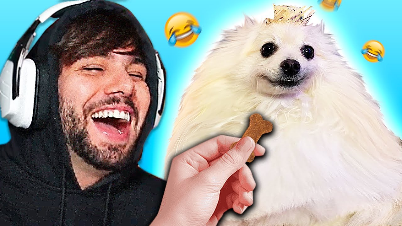se eu rir = dou PETISCO pro meu cachorro