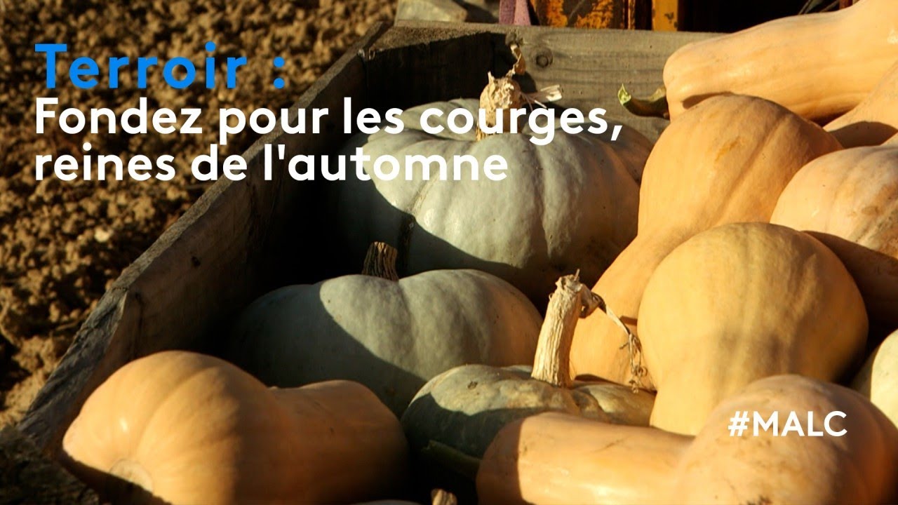 Terroir : Fondez pour les courges, reines de l'automne