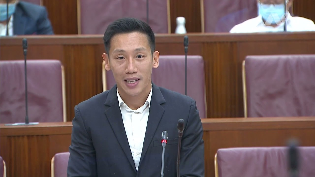 Xie Yao Quan's parliamentary speech on FICA