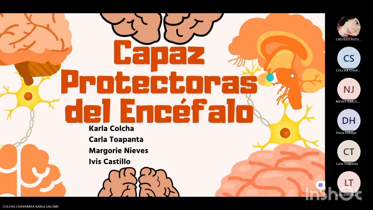 Conversatorio de las capas protectoras del encéfalo. 