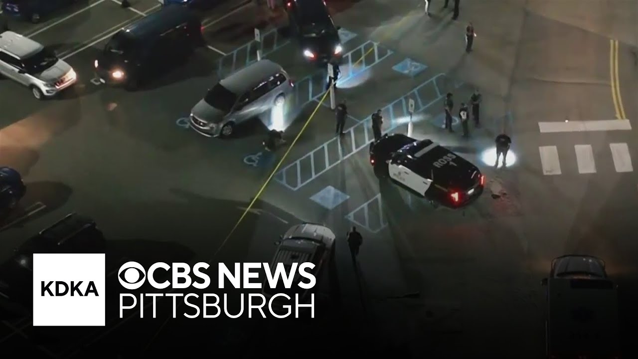 Witnesses describes hearing shooting outside Ross Park Mall